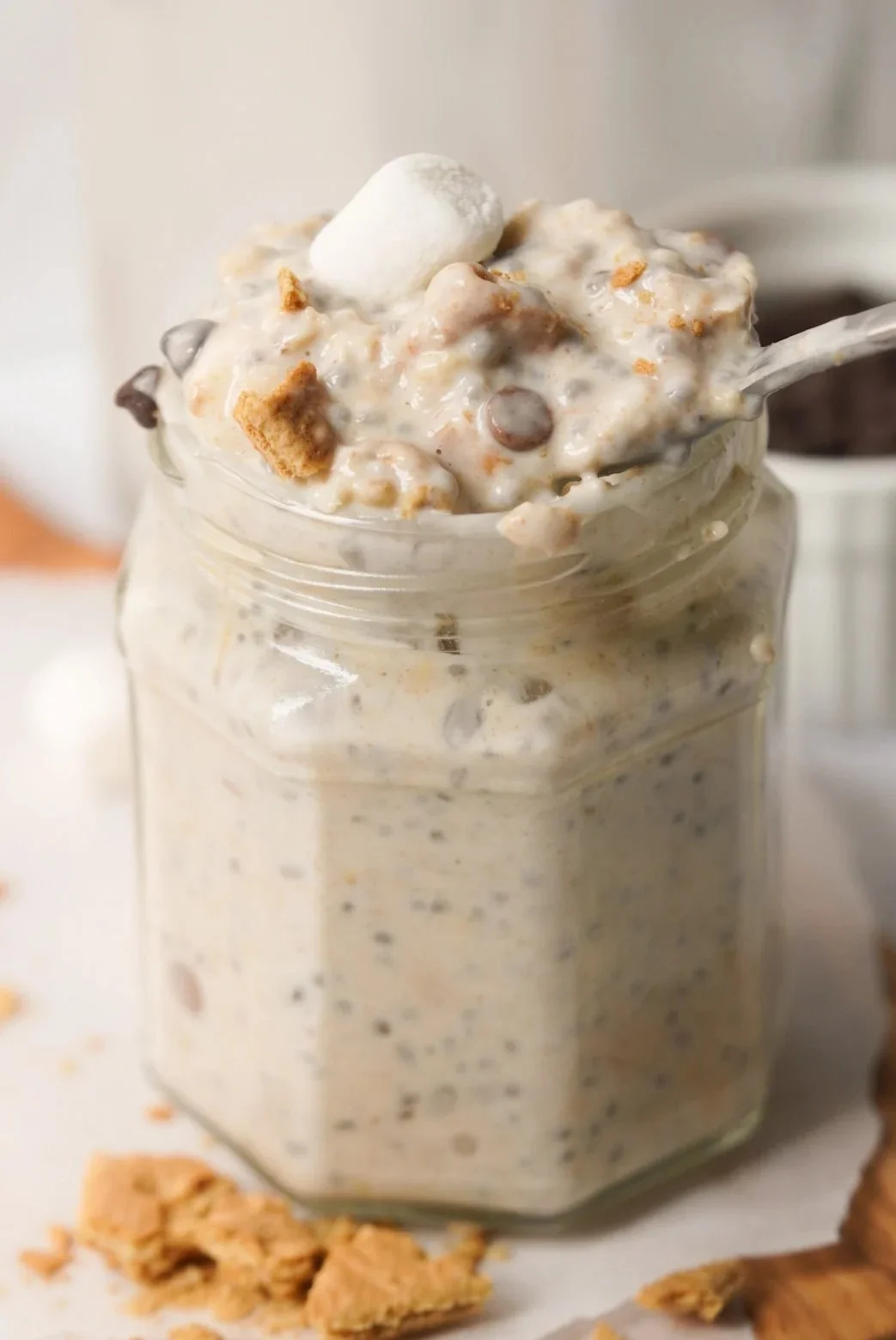 S'mores Overnight Oats (Easy & Delicious Breakfast)