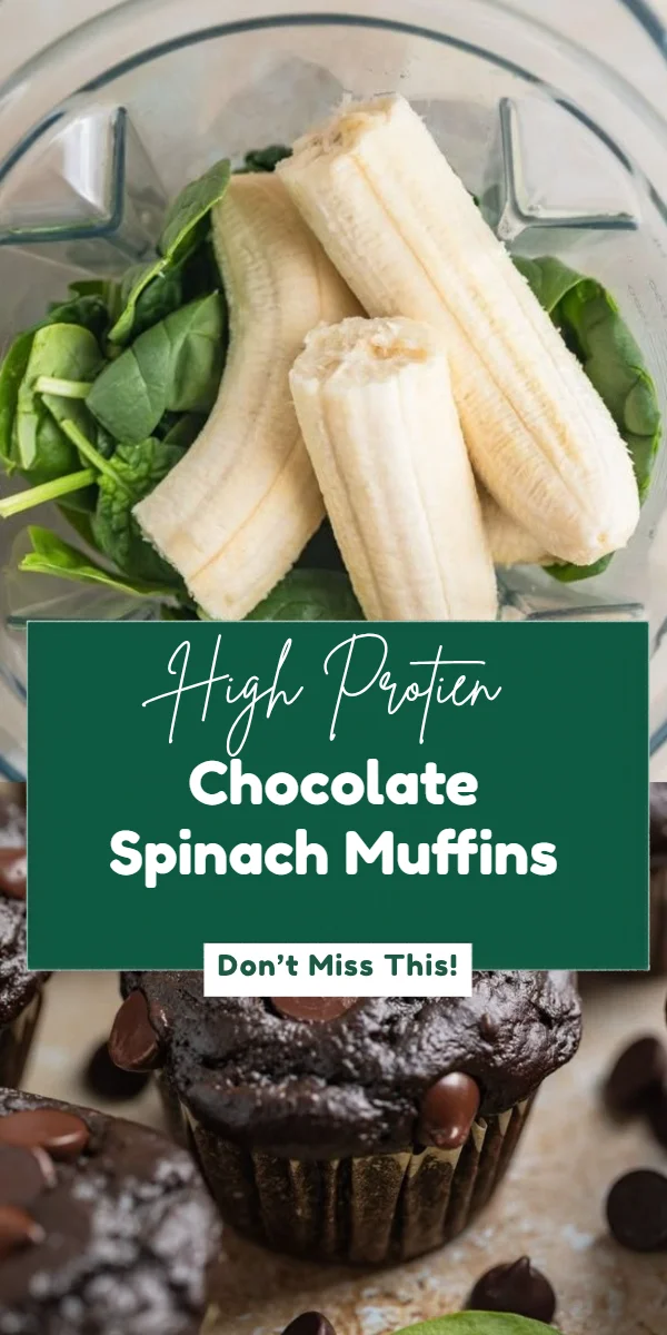 Chocolate Spinach Muffins